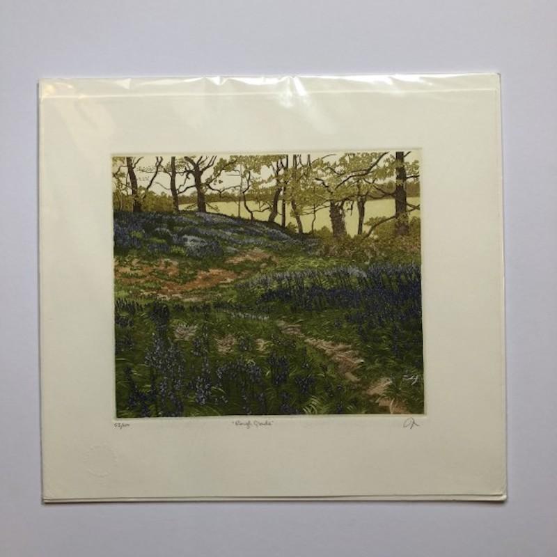 Rough Glade, Print by Jan Dingle For Sale 4