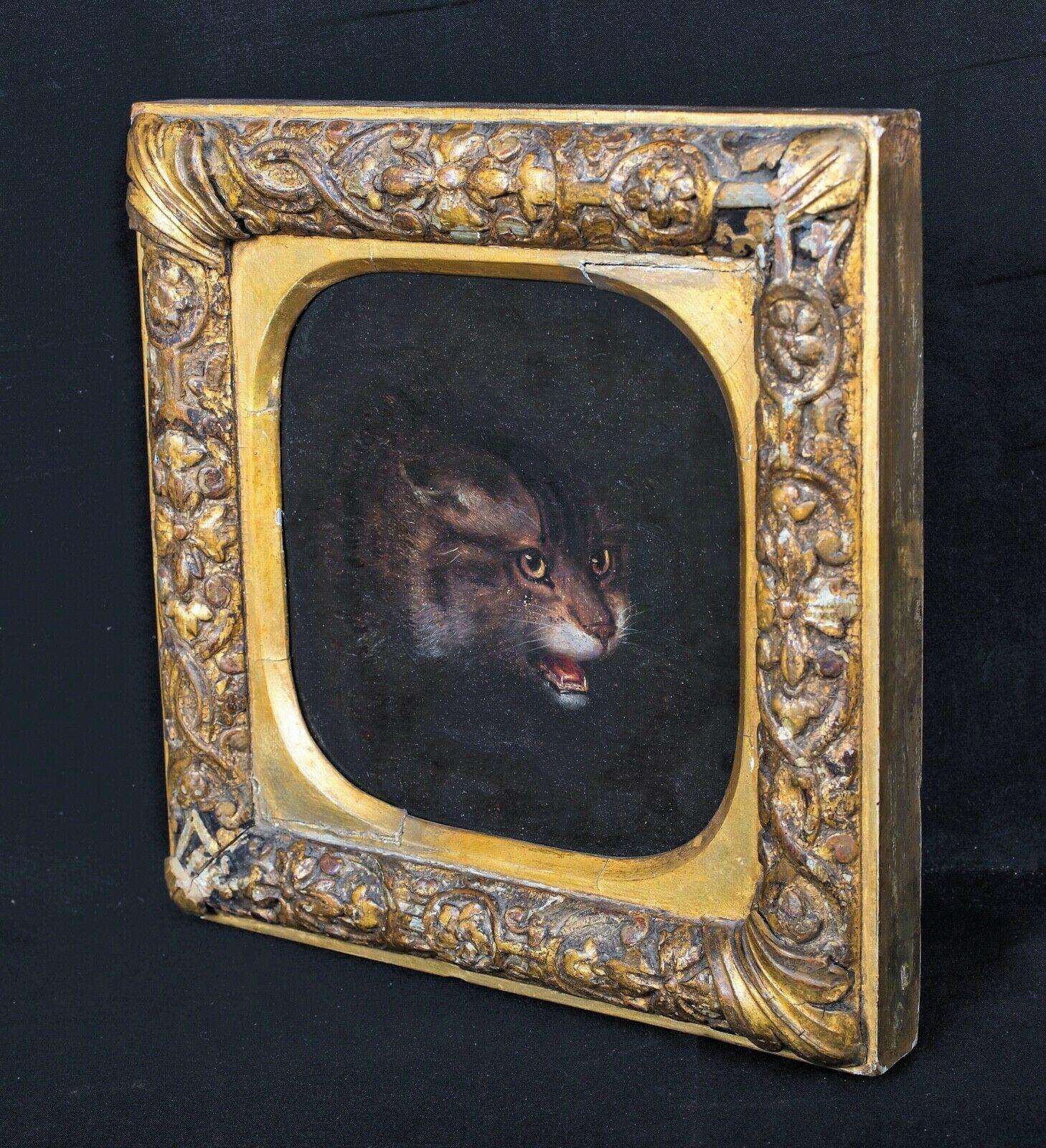 17th century cat painting