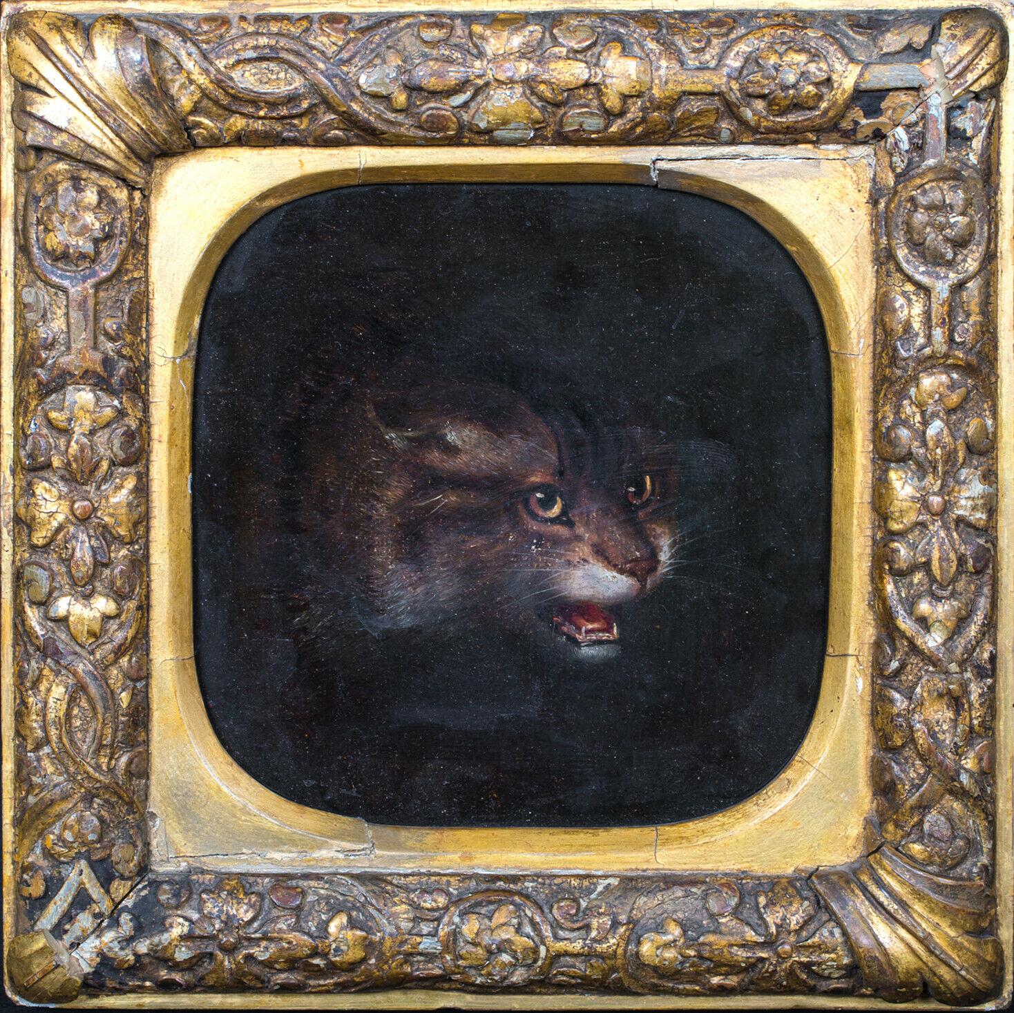 Jan FYT Portrait Painting - Study Of A Cat, 17th Century 