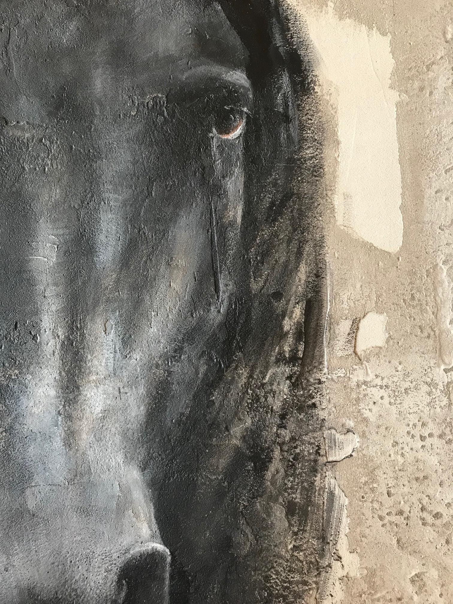 black horse paintings