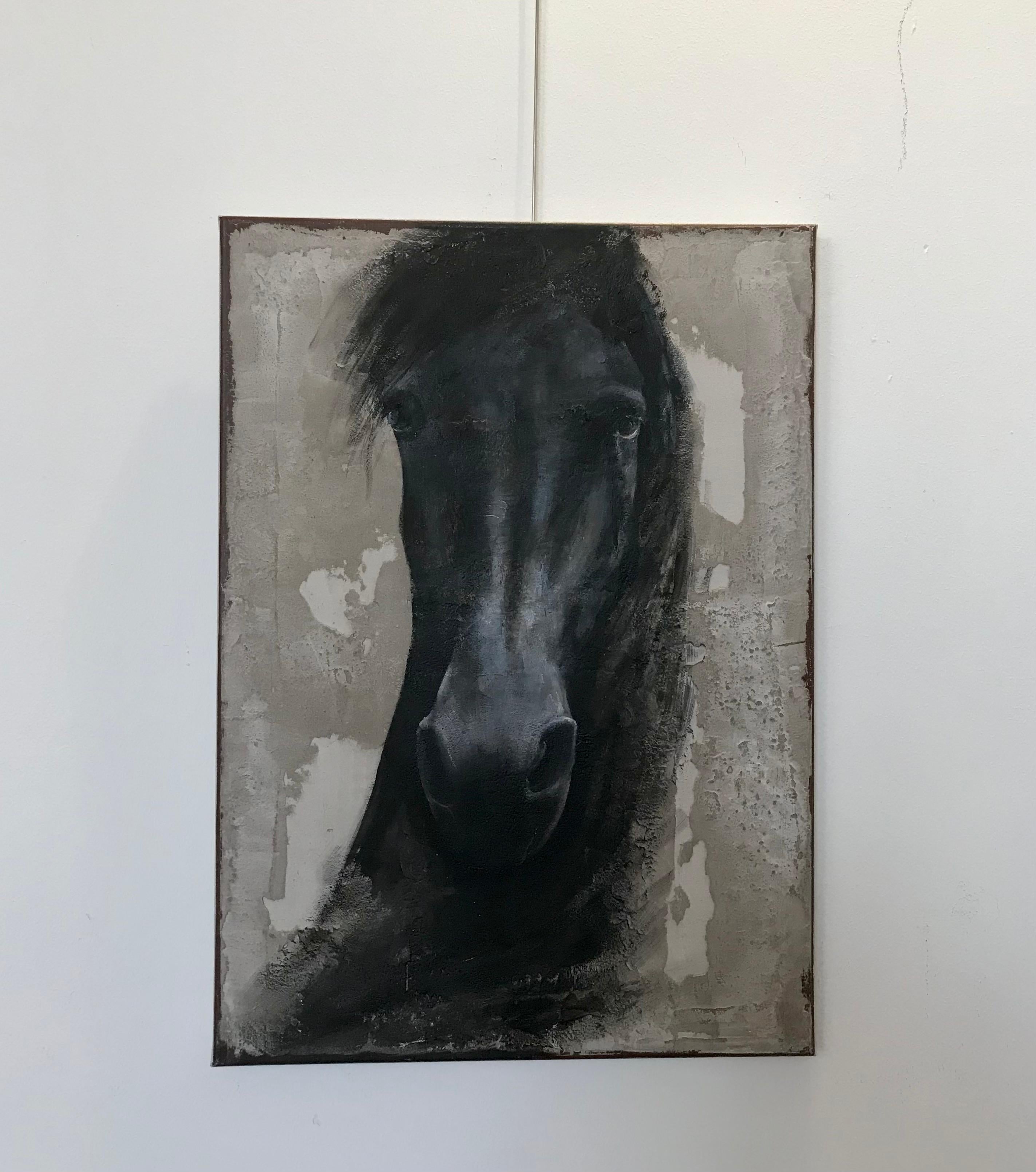 ''Black Horse'' Dutch Contemporary Fresco Painting with a Black Horse 2