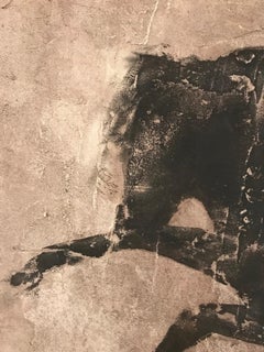 'Dark Horse' Dutch Contemporary Fresco Painting with a Horse