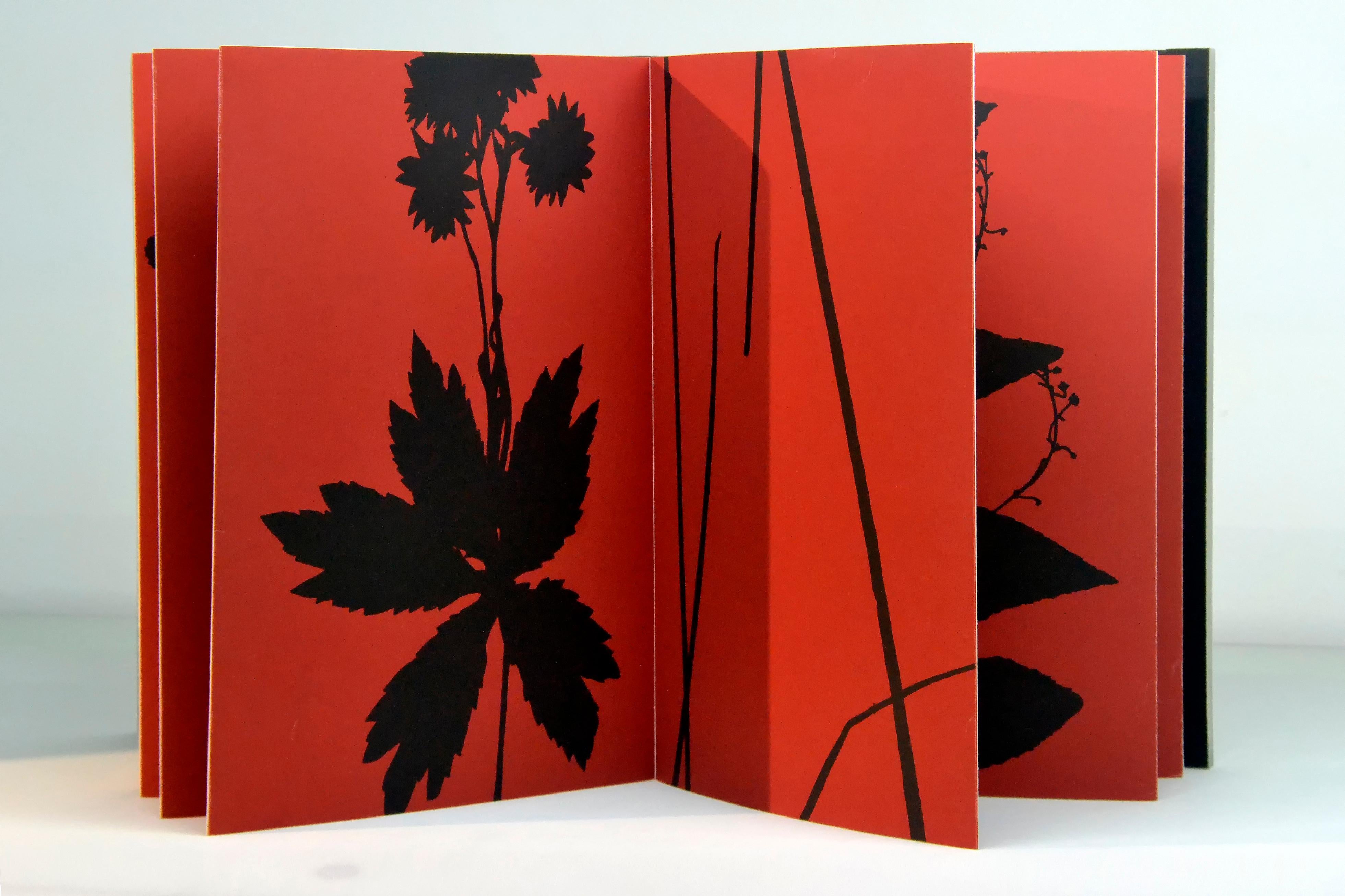 Herbier - Contemporary Print by Jan Hendrix
