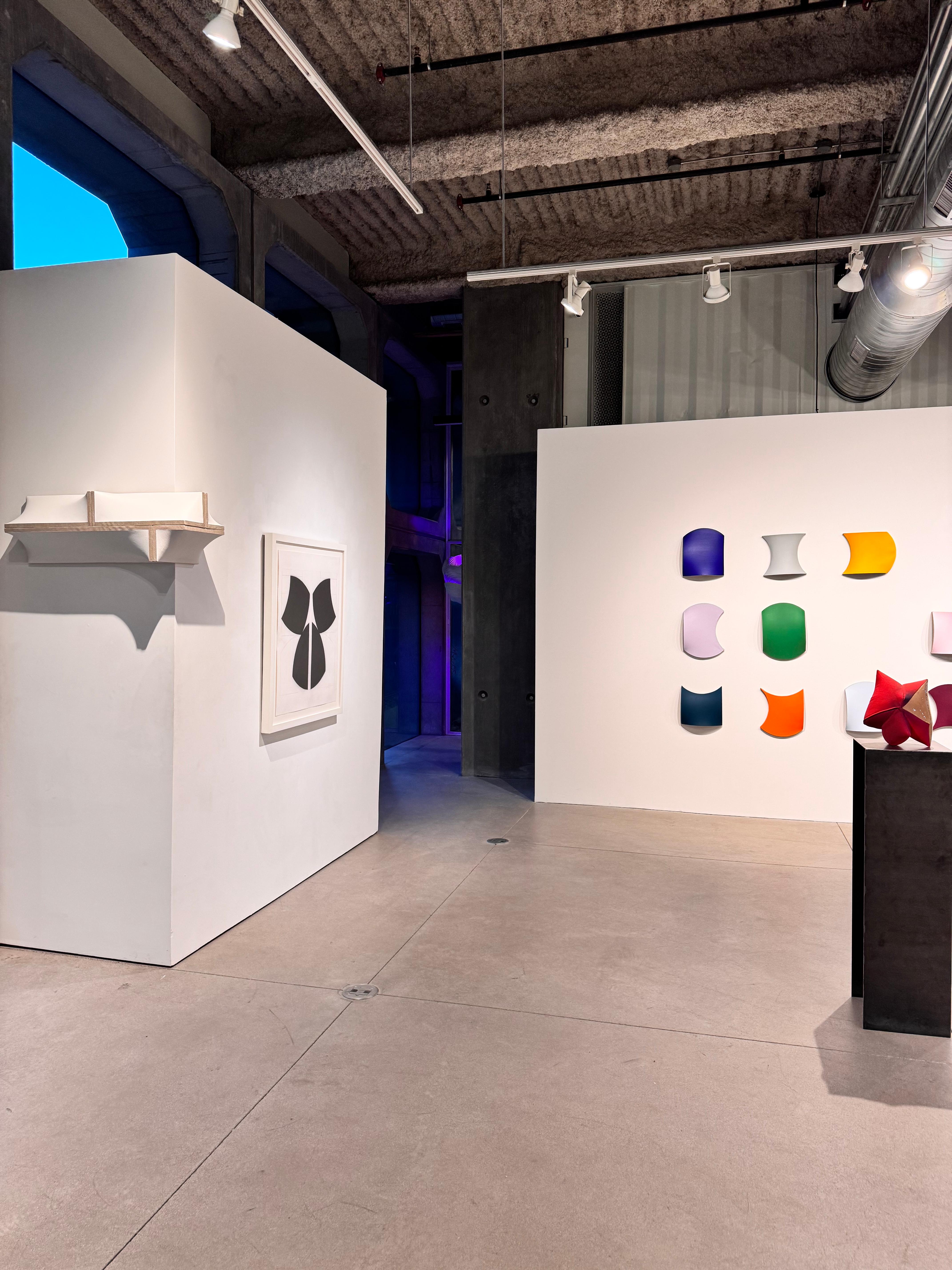 acrilico su lino (in totale 18 pezzi)
63 x 151 x 6 pollici

b. 1964, Arnhem
Jan Maarten Voskuil estende i suoi dipinti nella terza dimensione. Le sue costruzioni in legno, in parte curvate, si basano su semplici principi geometrici: il cerchio, il