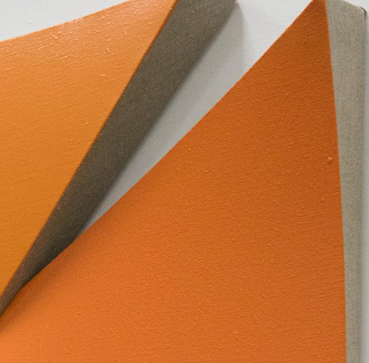 Cuts in Orange For Sale 5