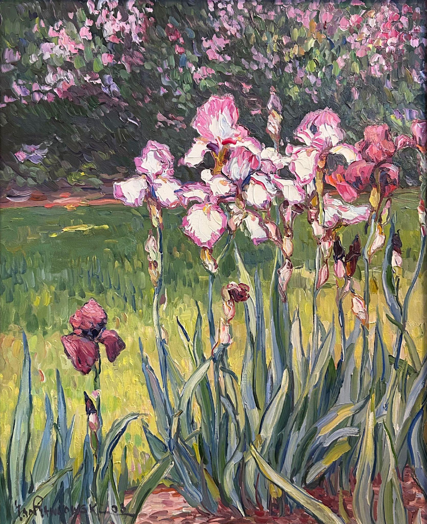 Iris