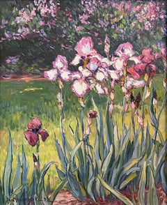 Iris