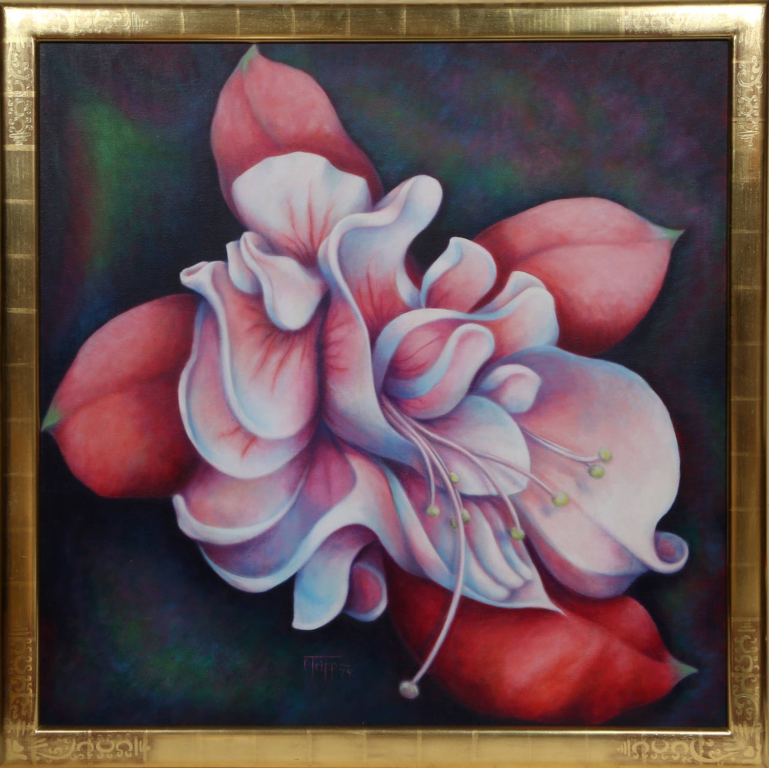 Jan Peter Tripp - Fuschia, Large Flower Painting by Peter Tripp For Sale at  1stDibs