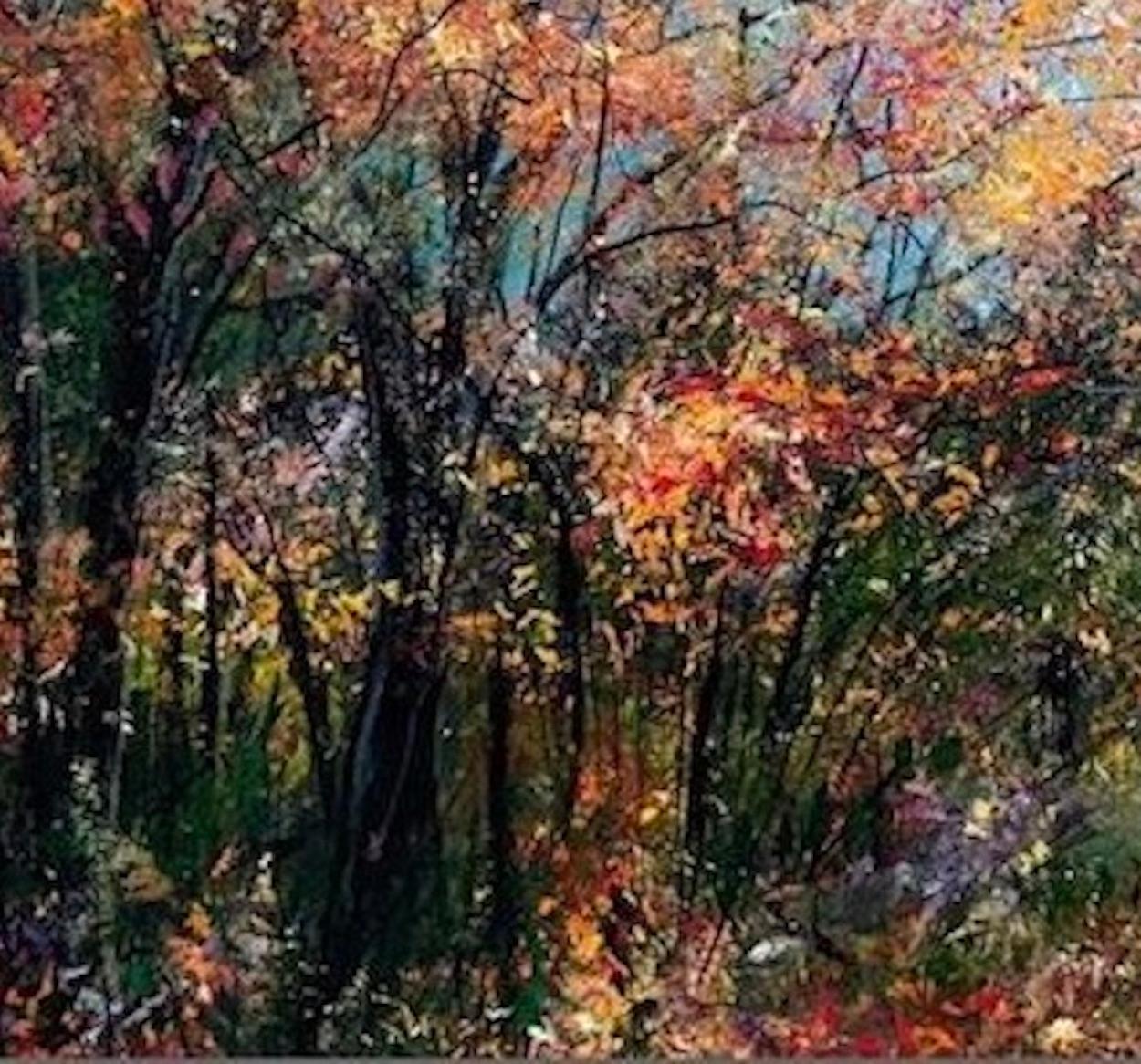 Autumn at Elnup Wood, Jan Rogers, Art de paysage contemporain, art d'origine - Contemporain Painting par Jan Rogers 