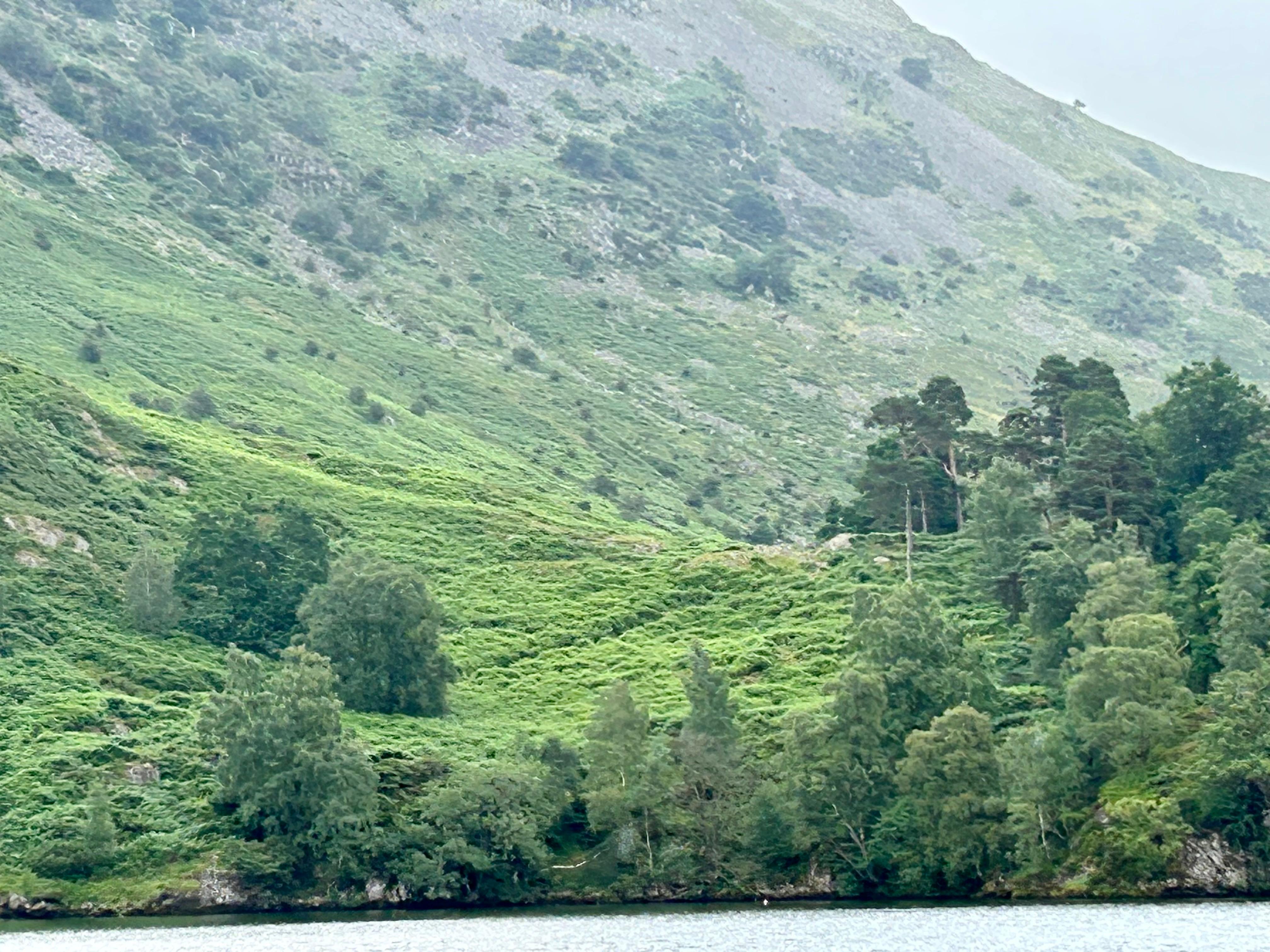 Ullswater to Howtown, Originalgemälde, Landschaft, zeitgenössisch (Zeitgenössisch), Painting, von Jan Rogers