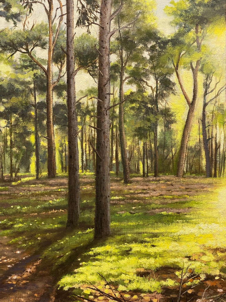  21st Century Contemporary Dutch Landscape Painting of a Forest For Sale 2