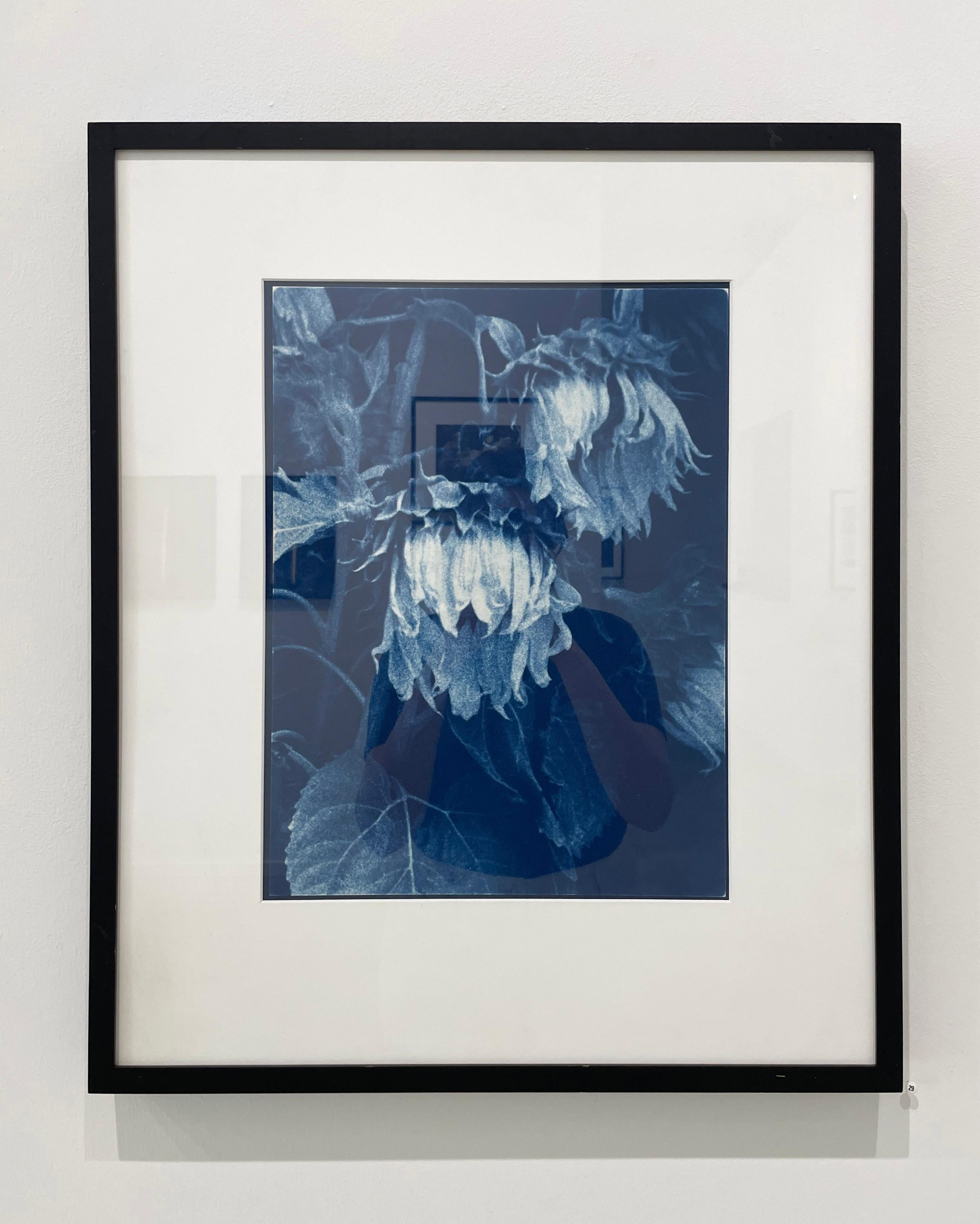 Sunflowers by Jan Van Leeuwen, 1995, Cyanotype, Still Life Photography For Sale 3