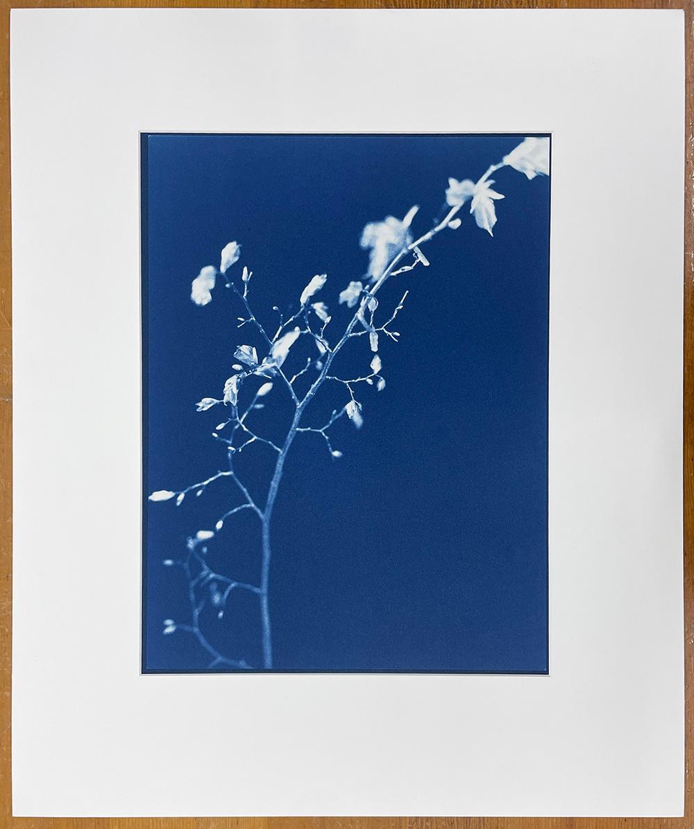 Senza titolo - Photograph di Jan Van Leeuwen