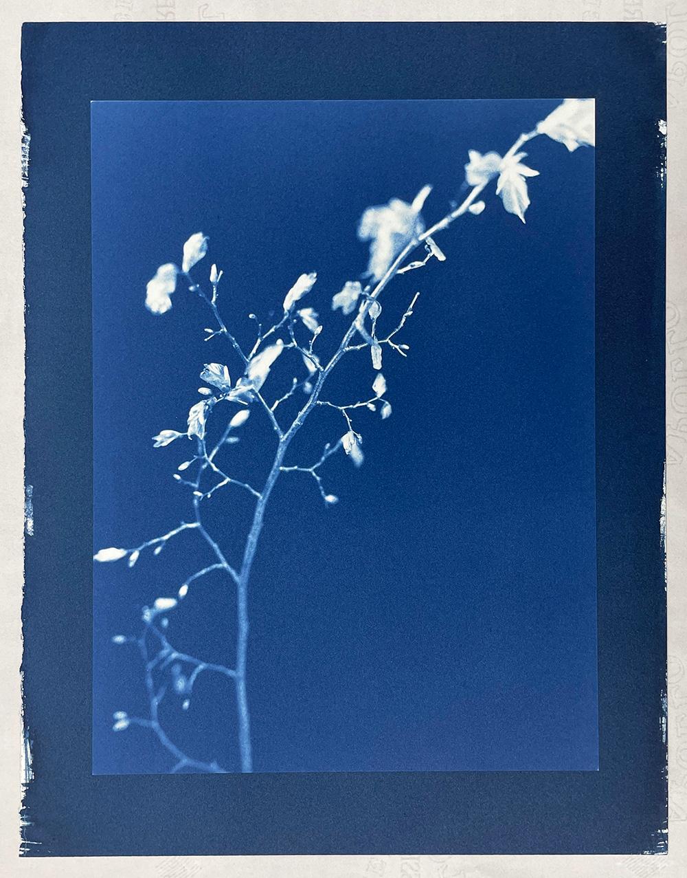 Senza titolo - Photograph Contemporaneo di Jan Van Leeuwen