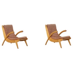 Jan Vanek's curved easy chairs curved oak, canvas and original upholstery 1950s