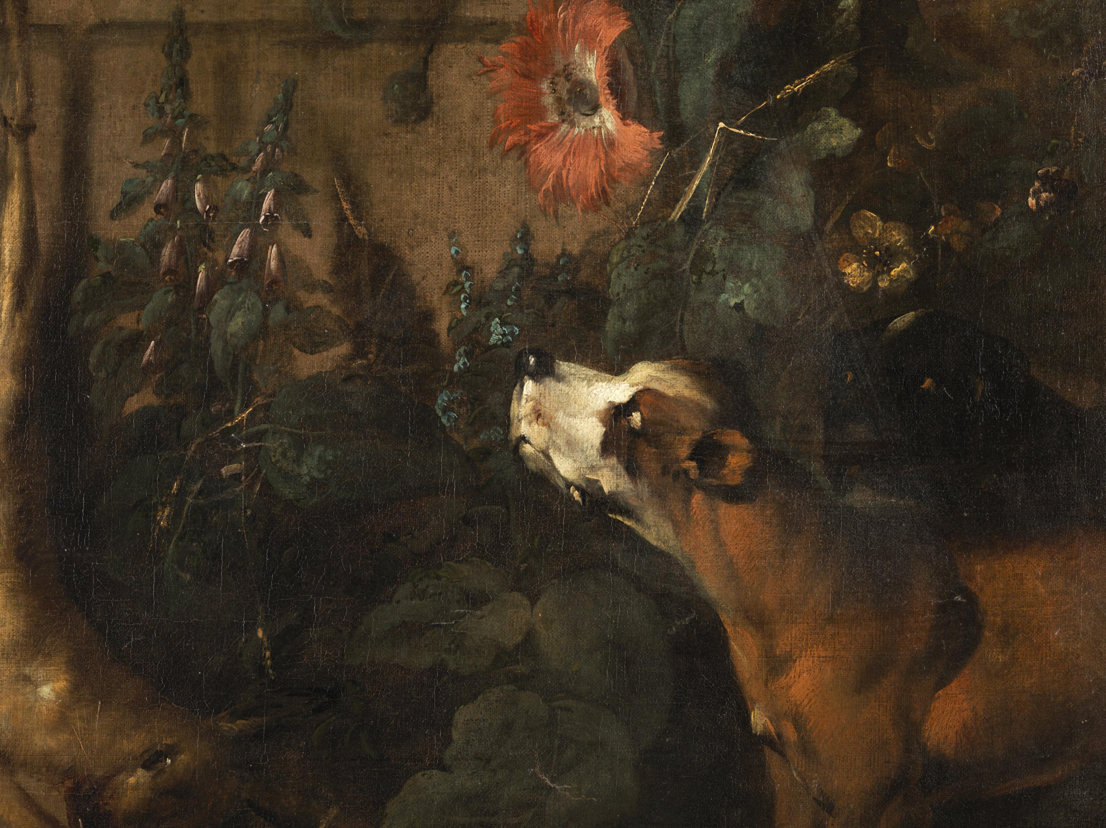 Jan Weenix (Attr.)
1640/41 - 1719

Still life with dog
Oil on canvas, cm. 103 × 99

The scene takes place in a courtyard surrounded by a wall. A brown hound seems to be checking the result of the recently concluded hunt, carefully observing
