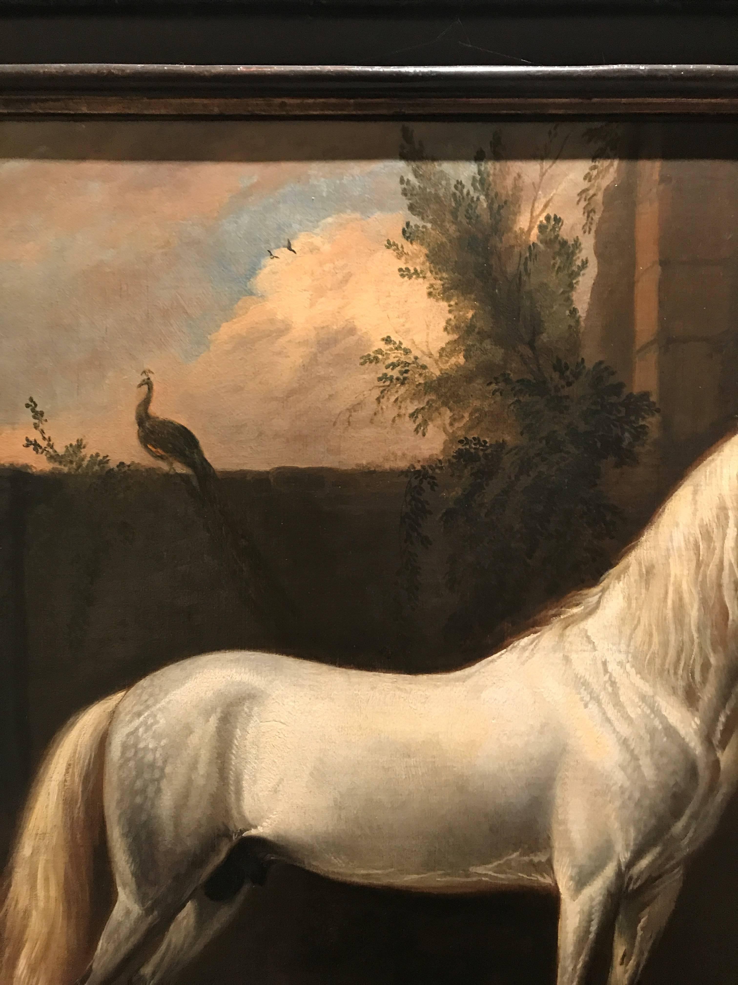 Peinture à l'huile du 17ème siècle représentant un magnifique cheval arabe gris - Painting de Jan Wyck