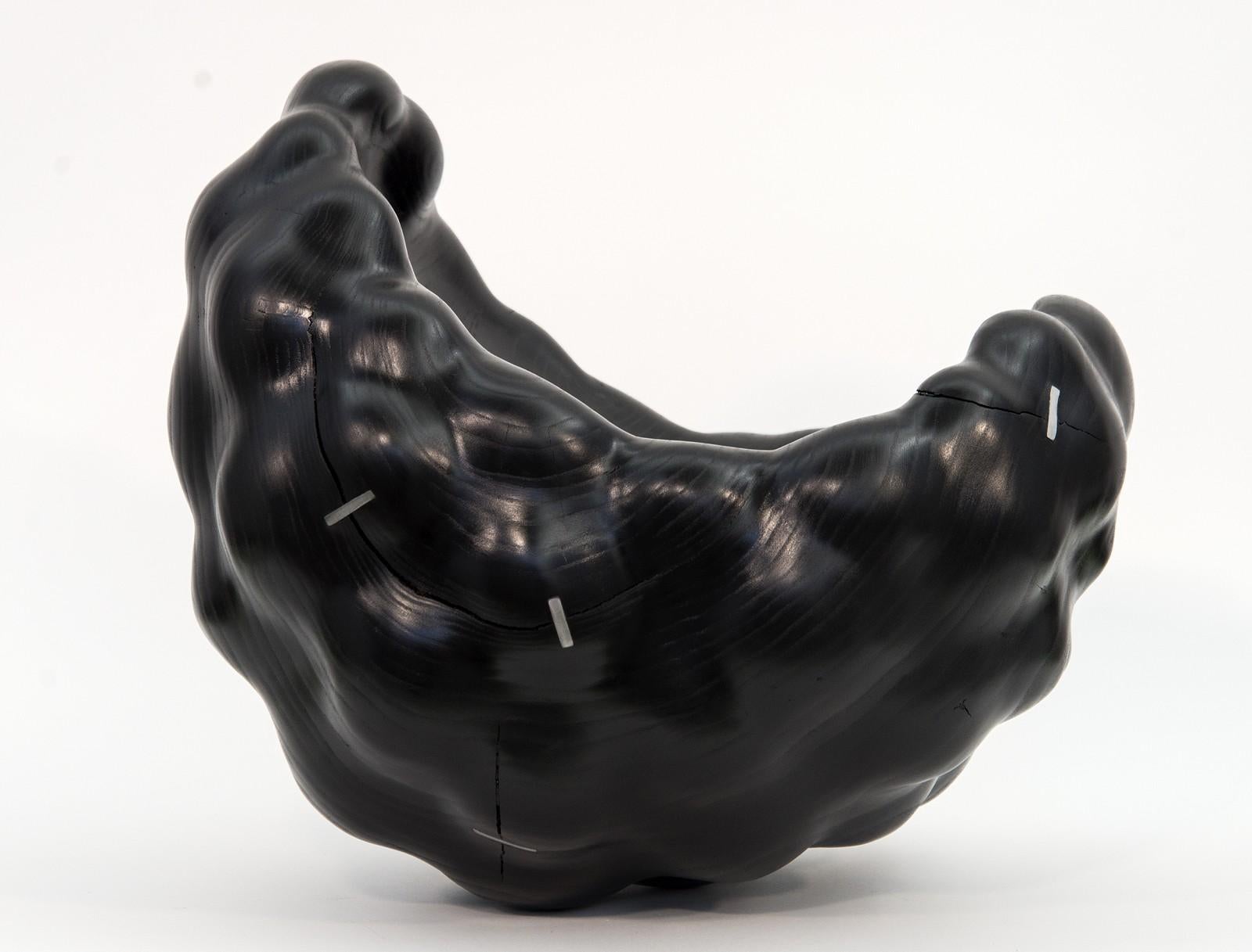 Biomorphic No 14 - smooth, carved, stained, polished wood, abstract sculpture - Sculpture by Jana Osterman