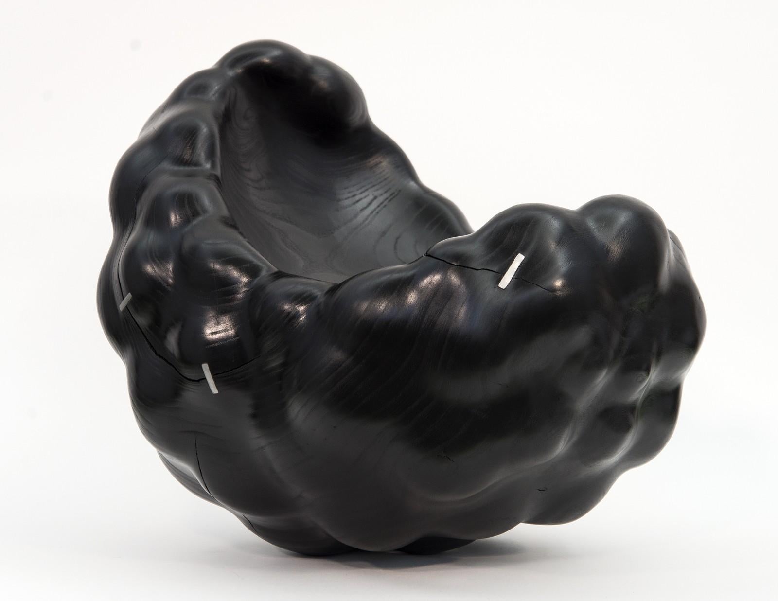 Jana Osterman Abstract Sculpture - Biomorphic No 14 - smooth, carved, stained, polished wood, abstract sculpture