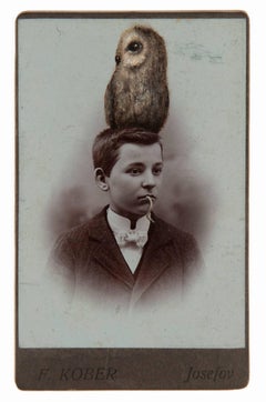 untitled (boy with an owl on his head)