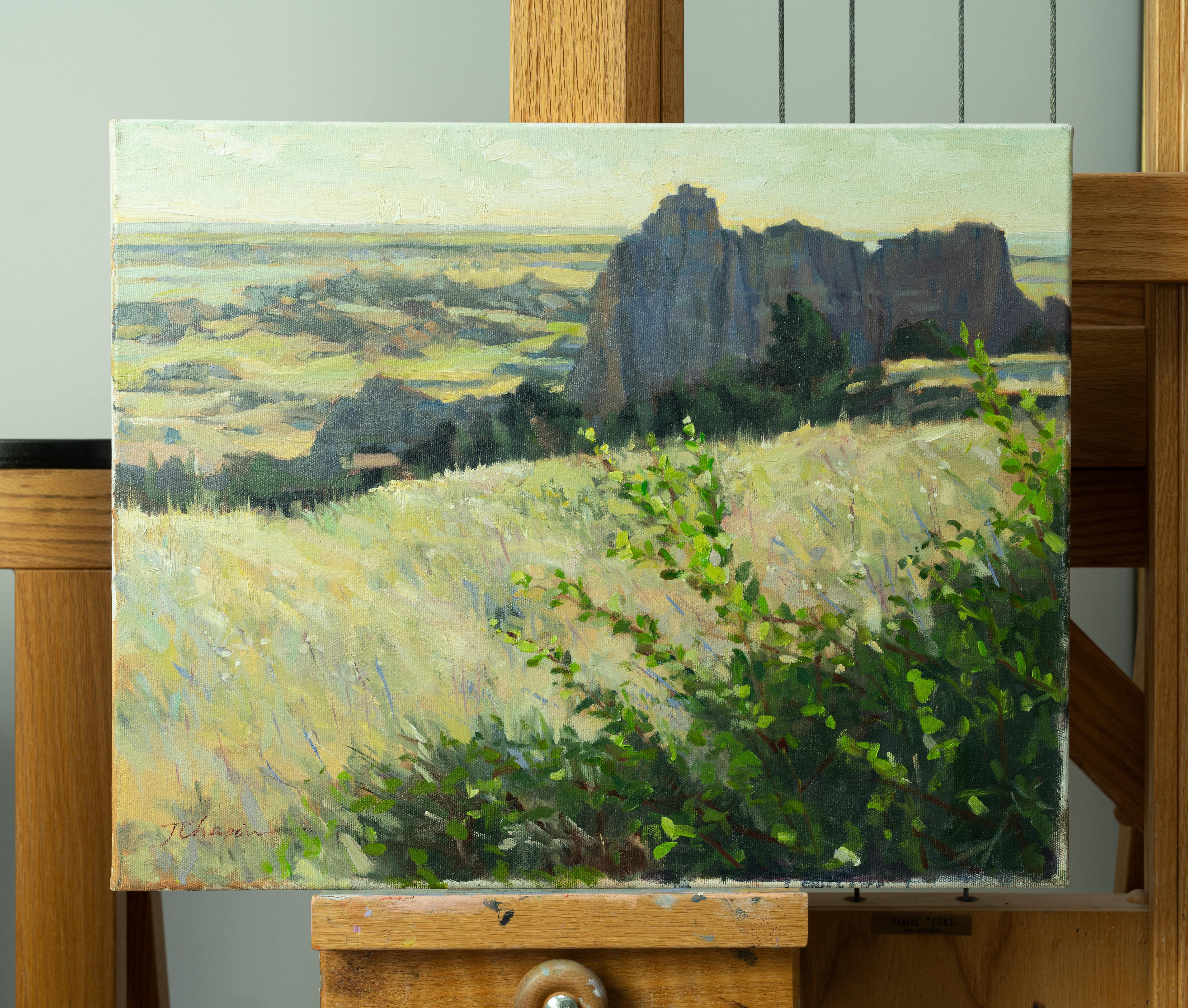Badlands (South Dakota) - Plein Air Landscape painting green yellow colors - Painting by Jane Chapin