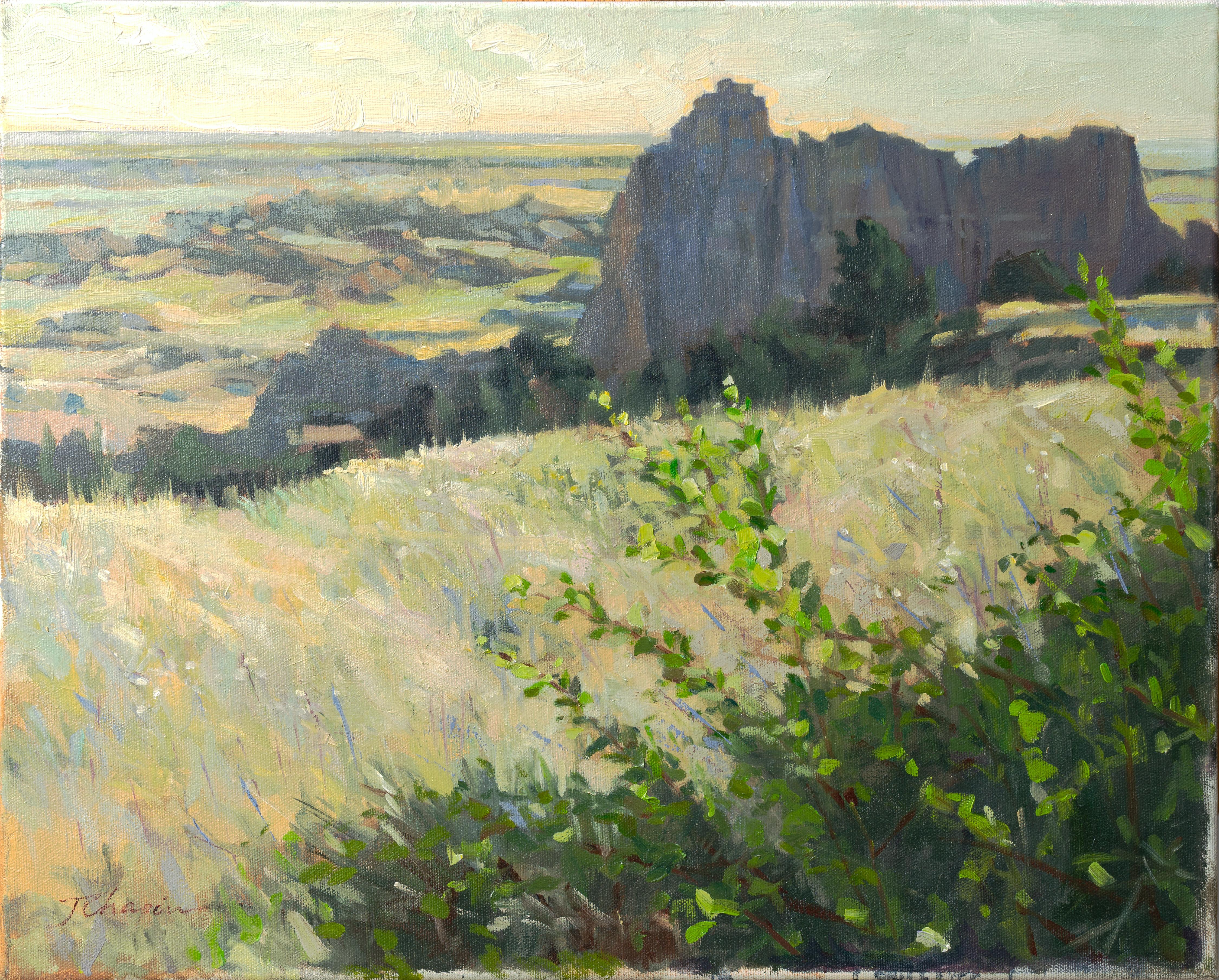 Badlands (South Dakota) - Pleinair-Landschaftsgemälde in grün-gelben Farben (Braun), Landscape Painting, von Jane Chapin