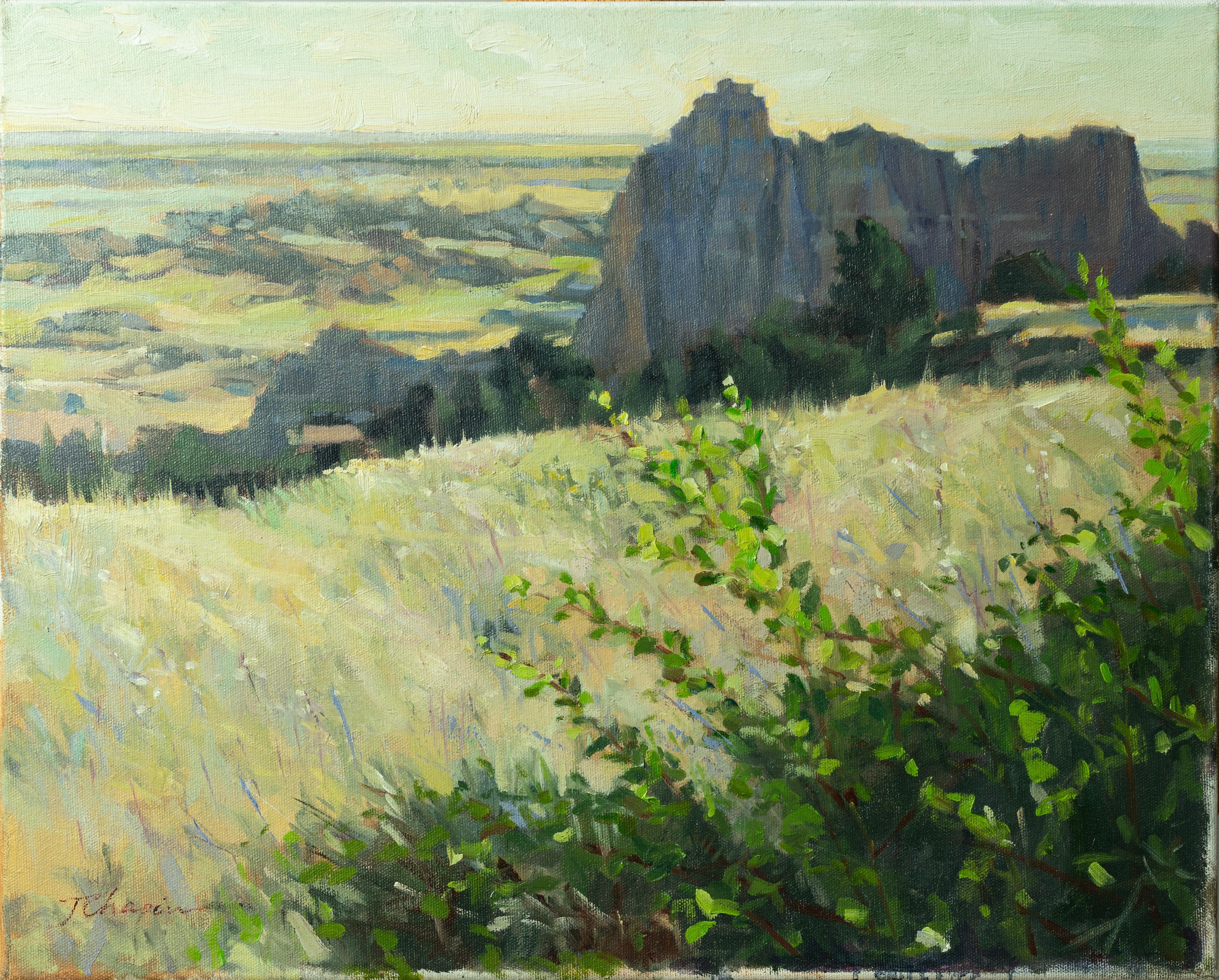 Jane Chapin Landscape Painting – Badlands (South Dakota) - Pleinair-Landschaftsgemälde in grün-gelben Farben