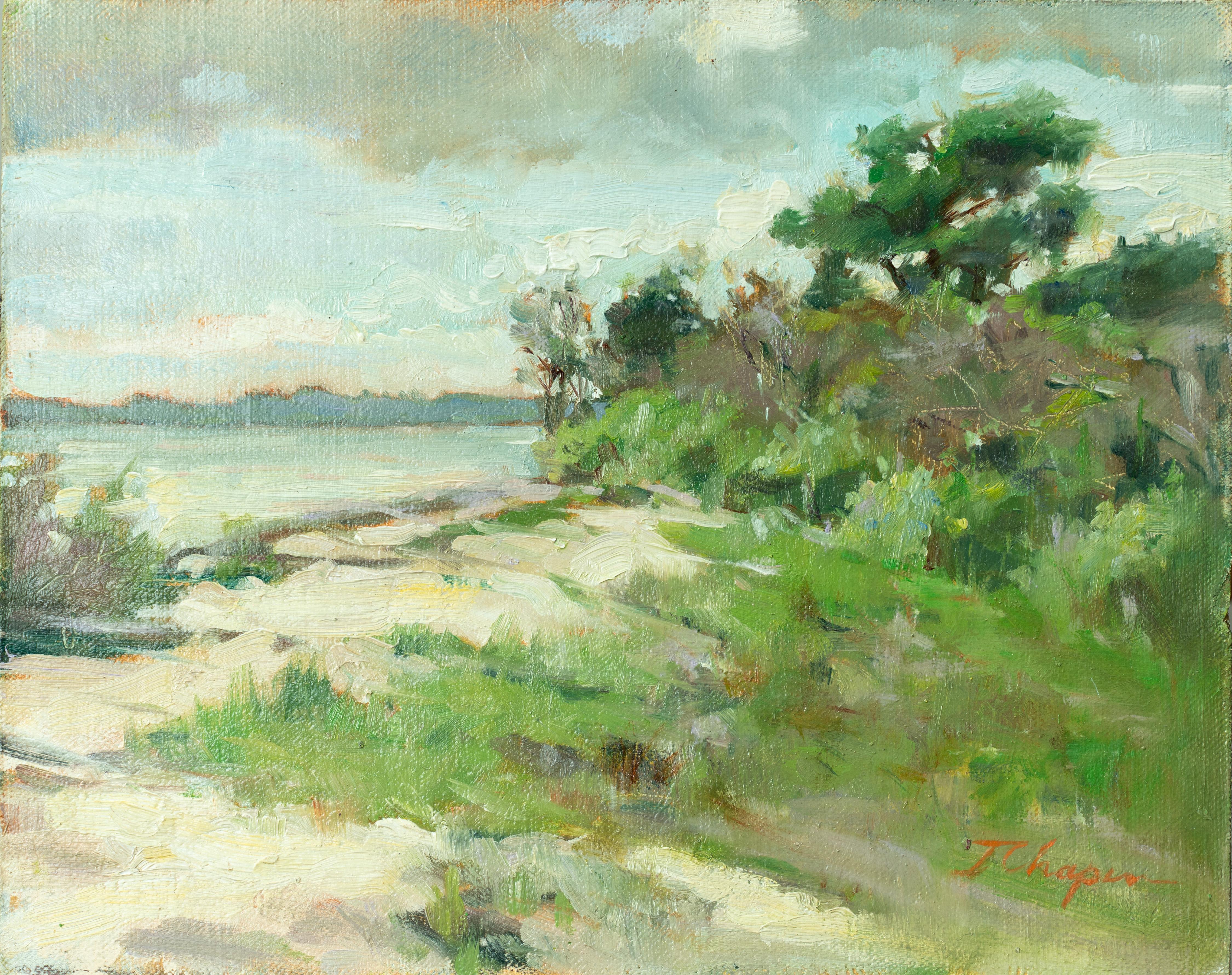 Storm Over Assateague ( Plein Air Landscape painting light green yellow blues) - Painting by Jane Chapin