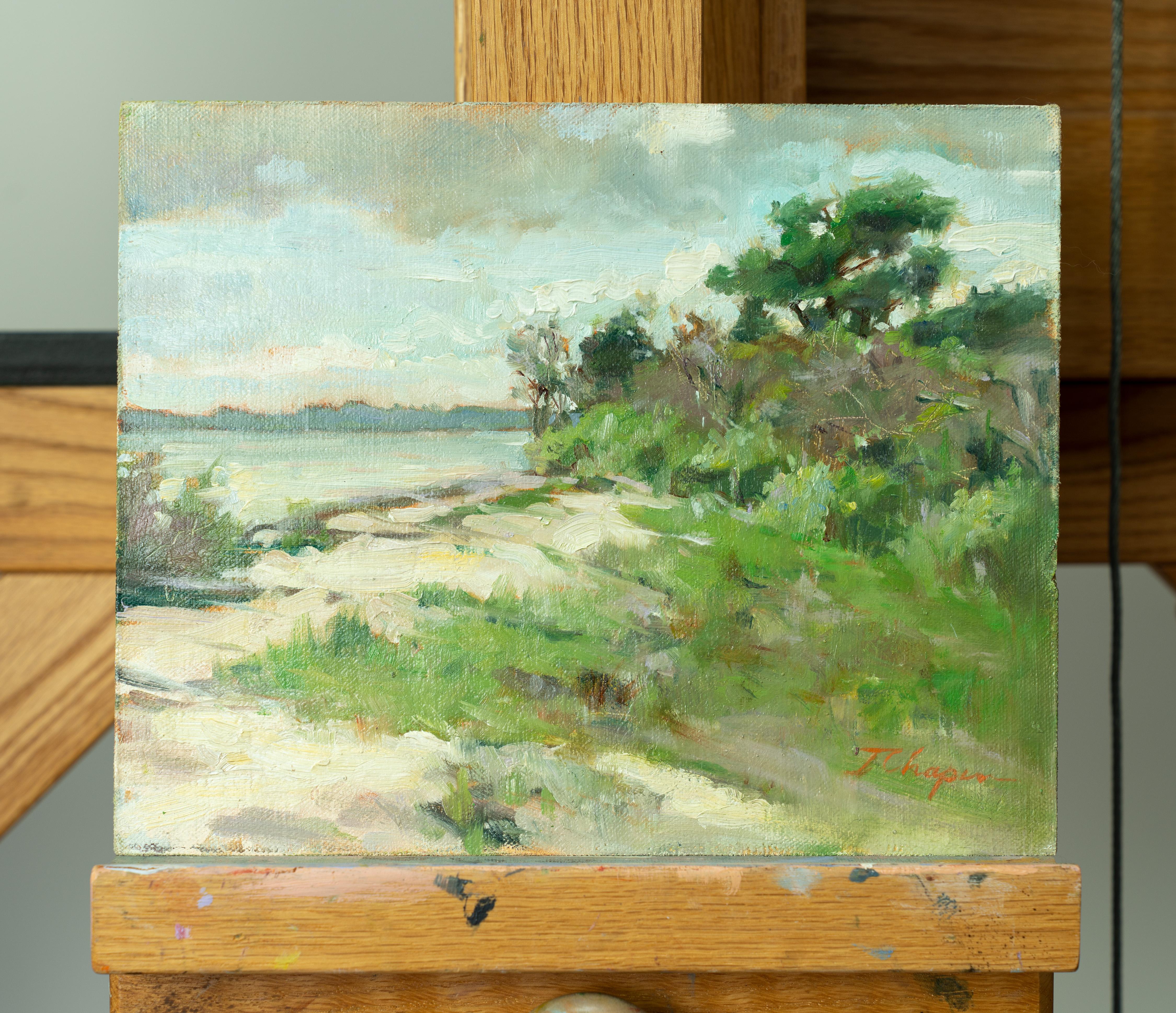 the storm painting charleston sc