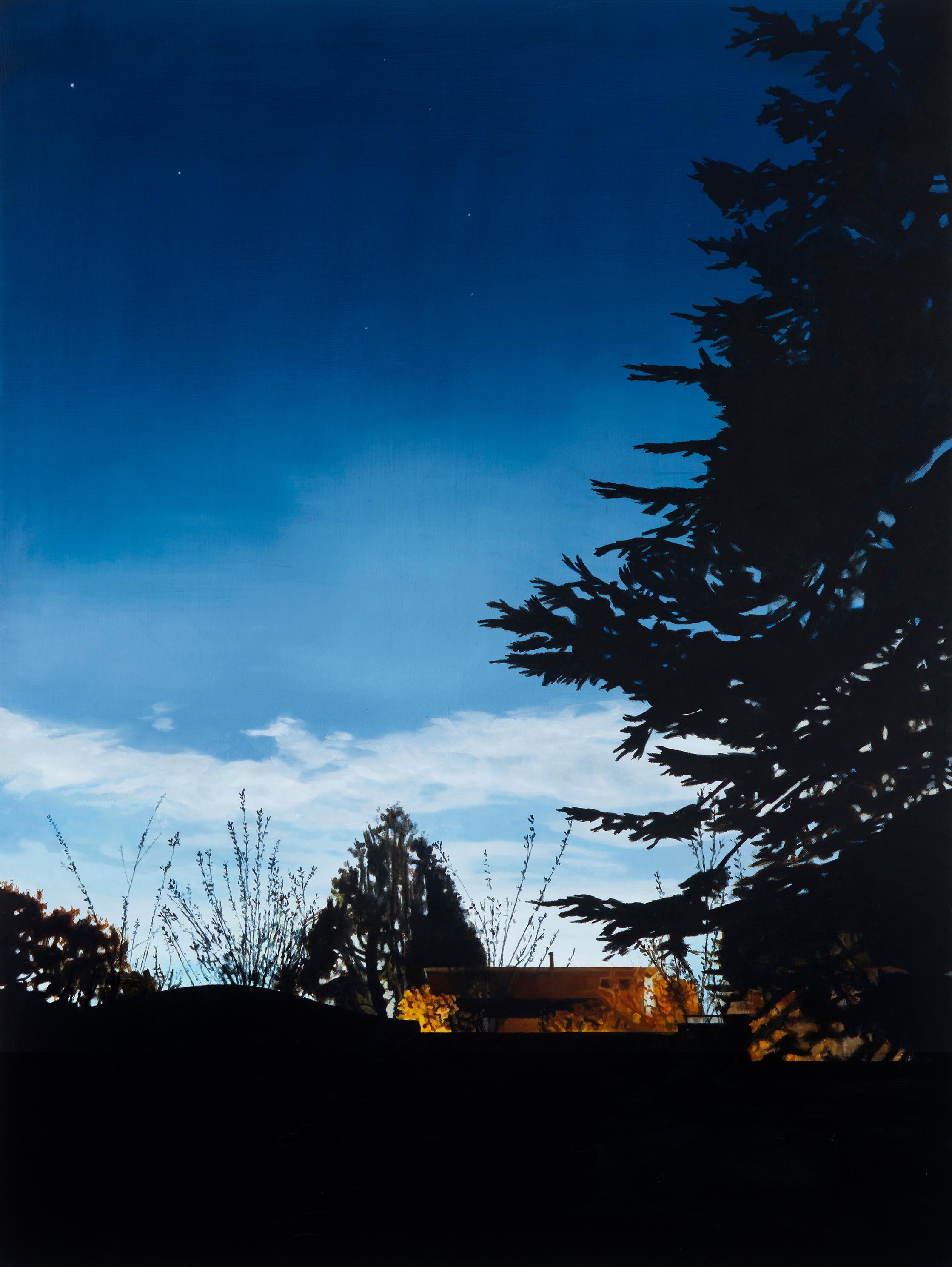 Landscape Painting de Jane Hambleton - Northside, February, 9:20 pm