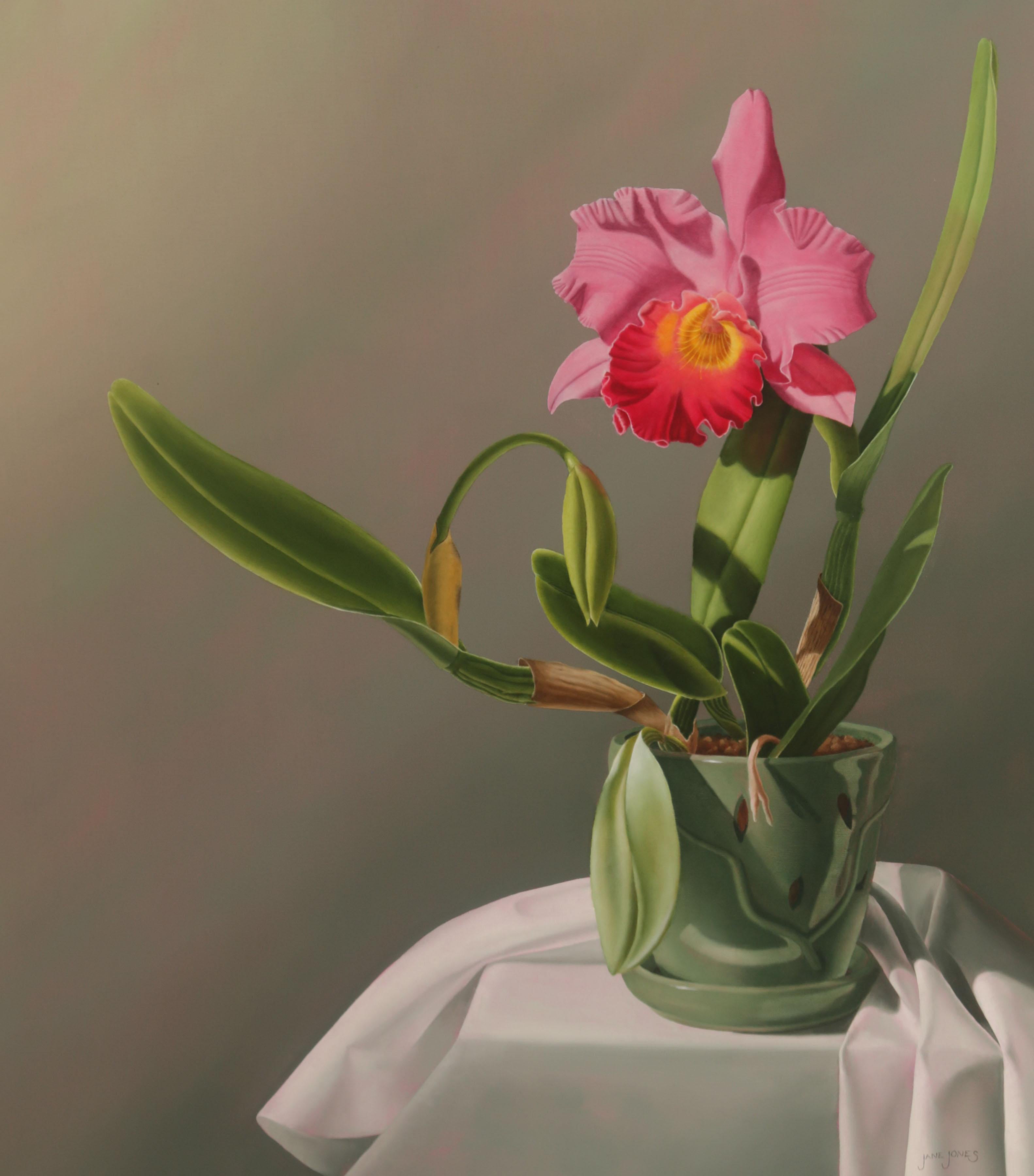 Andy Burgess "Palm Springs Mid Century Modern House" at 1stDibs palm springs paintings