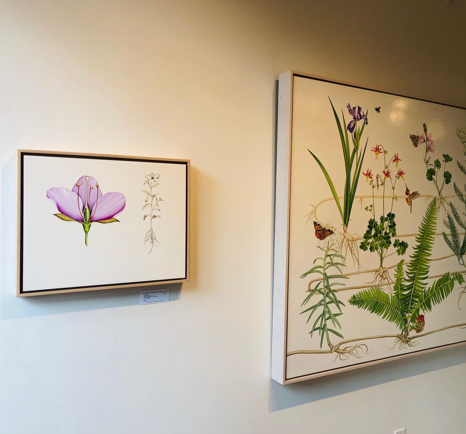 One of the nation’s most in-demand conservation/preservation artists, Jane Kim—who takes cues from the great tradition of science illustration—inspires people to love and protect Earth, one work of art at a time. Her contemporary series of mixed
