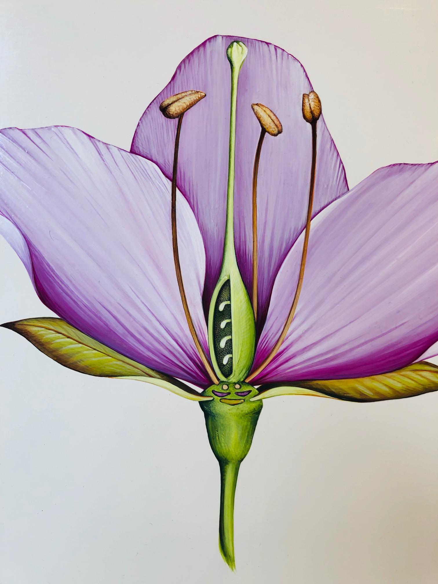 Flora Generica  / acrylic painting on board - contemporary botanical floral pink - Gray Still-Life by Jane Kim