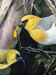 Hawaiian Honeycreepers / acrylic bird painting