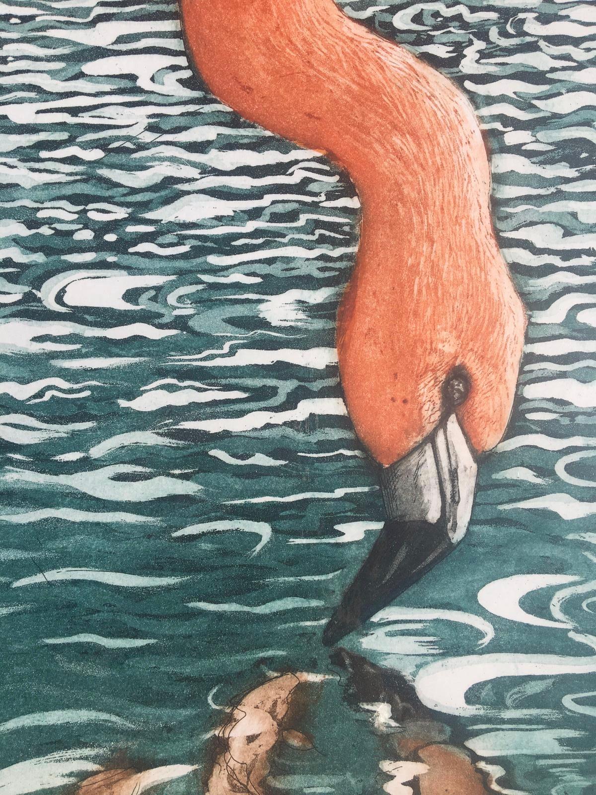 Flamenco Flamingo, Jane Peart, Limited edition print, Animals and wildlife art - Contemporary Print by Jane Peart 