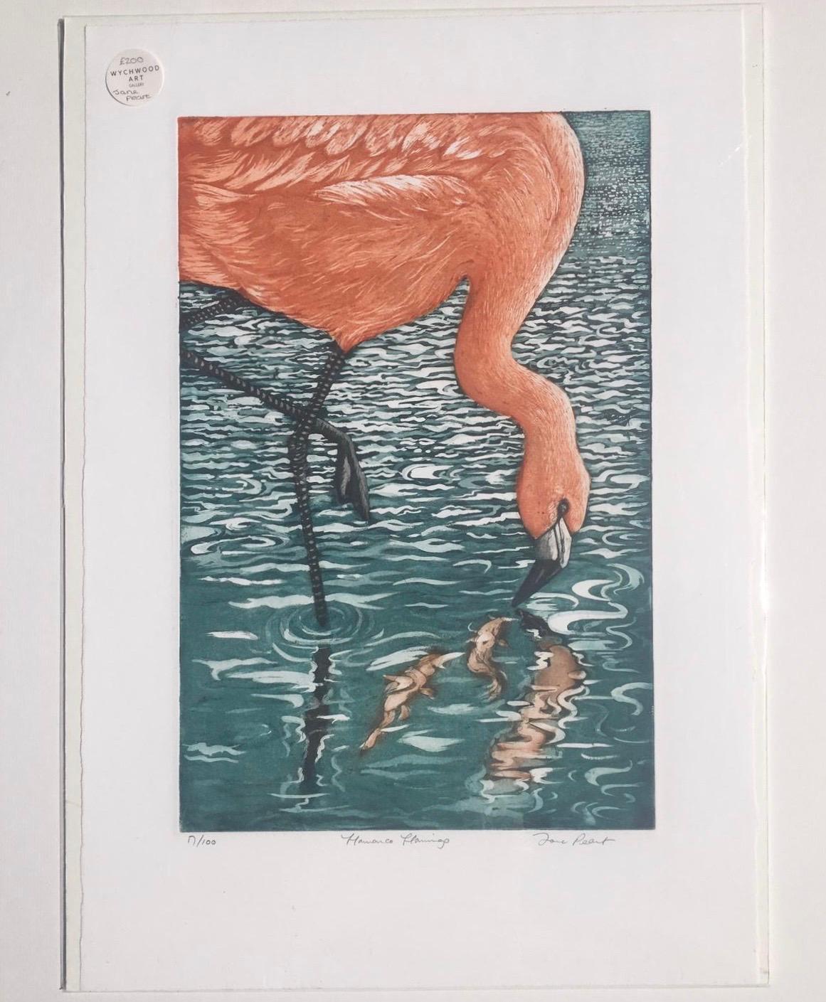 Flamenco Flamingo [2014]
limited_edition and hand signed by the artist 
Etching/aquatint
Edition number 100
Image size: H:46cm cm x W:31cm cm
Complete Size of Unframed Work: H:56cm cm x W:41cm cm x D:1mmcm
Sold Unframed
Please note that insitu