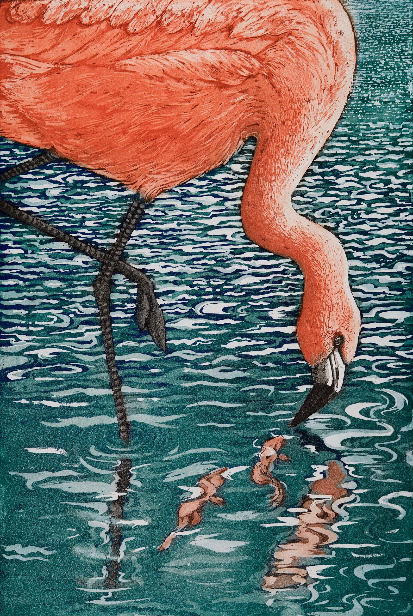 Jane Peart  Landscape Print - Flamenco Flamingo, Jane Peart, Limited edition print, Animals and wildlife art