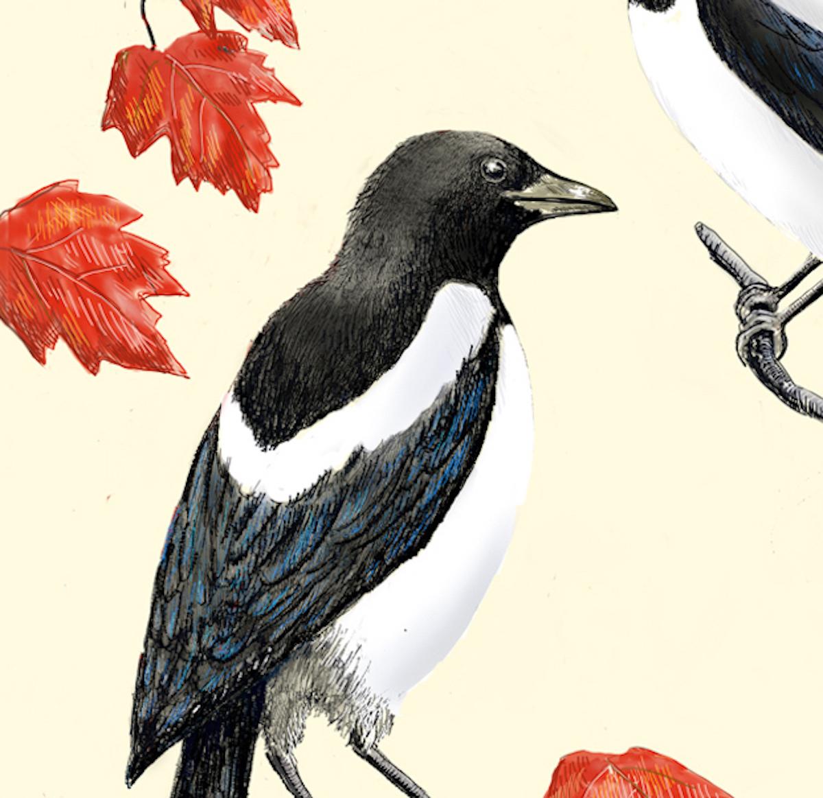 Two More for Joy, Art print, Contemporary, Magpies, Animal art, Birds, Leaf art For Sale 1