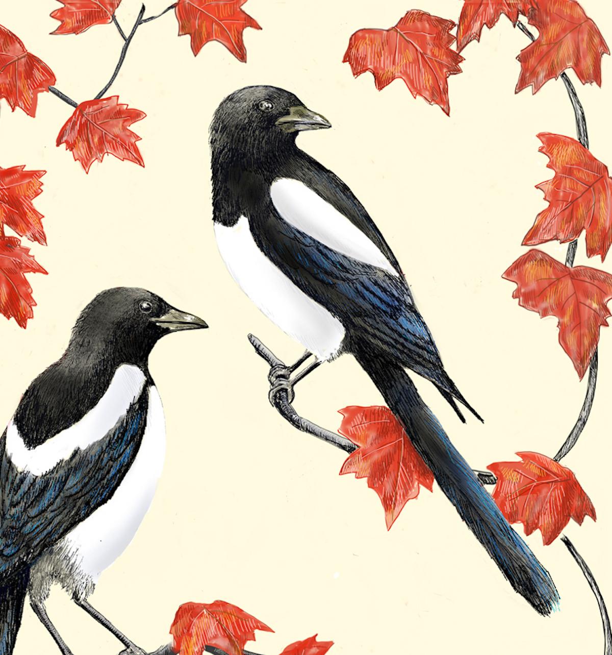 Two More for Joy, Art print, Contemporary, Magpies, Animal art, Birds, Leaf art For Sale 2