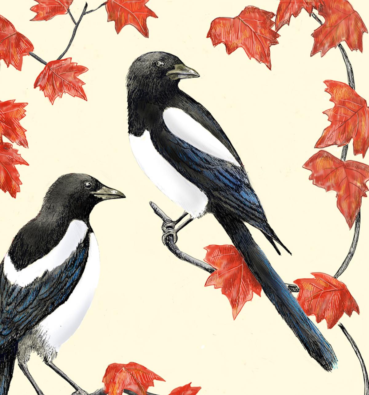 Two More for Joy, Stampa d'arte, Contemporaneo, Gazze, Arte animale, Uccelli, Arte delle foglie in vendita 1