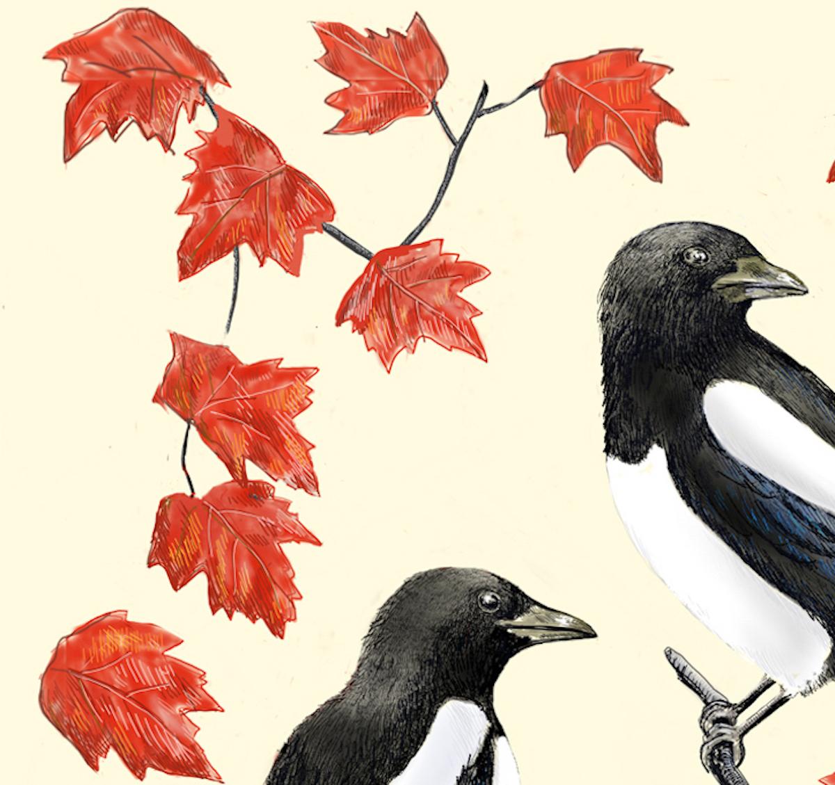 Two More for Joy, Art print, Contemporary, Magpies, Animal art, Birds, Leaf art For Sale 3