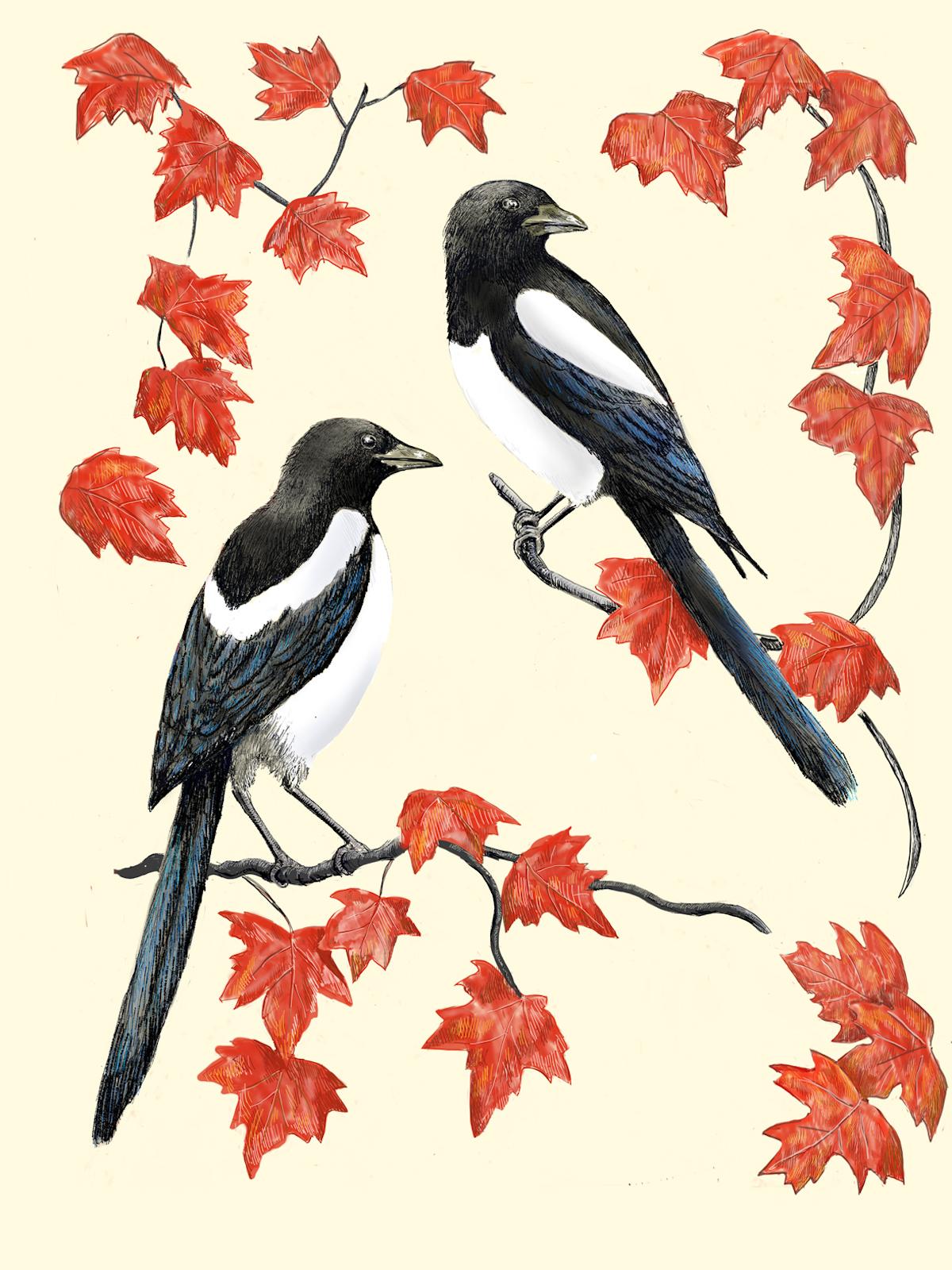 Jane Peart  Animal Print - Two More for Joy, Art print, Contemporary, Magpies, Animal art, Birds, Leaf art