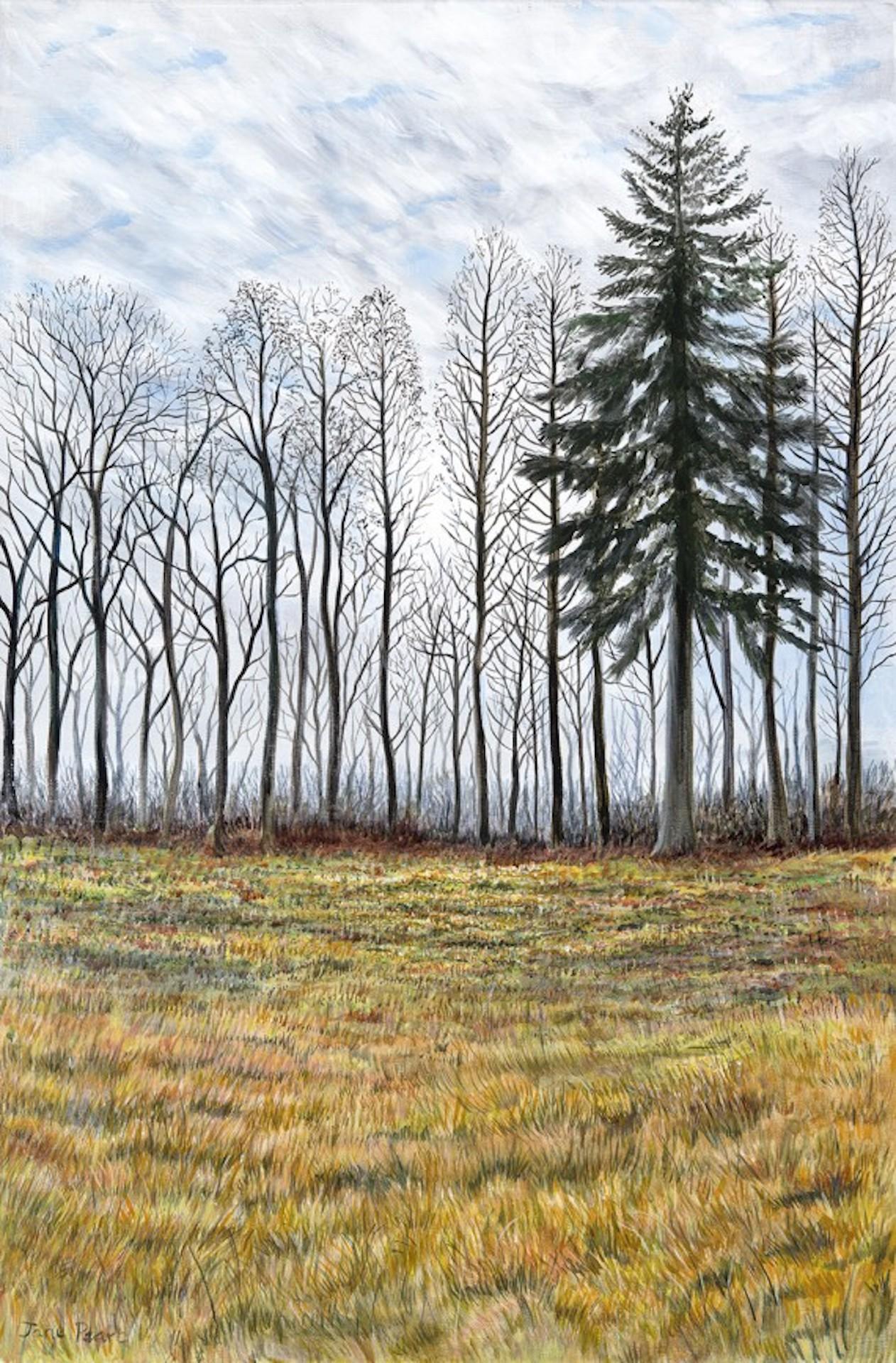 Árboles de invierno [2021]
Original
Paisajes 
Acrílico
Tamaño del lienzo: A:51 cm x An:76 cm
Se vende sin enmarcar
Tenga en cuenta que las imágenes in situ son meramente indicativas del aspecto que puede tener una pieza

Vi esta vista mientras daba