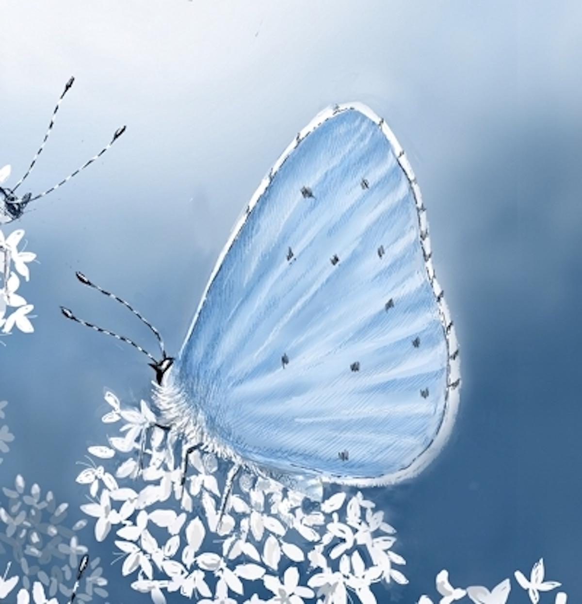 Holly Blue Butterflies, Animal Art, Floral Butterfly Art, Blue and White Art For Sale 2