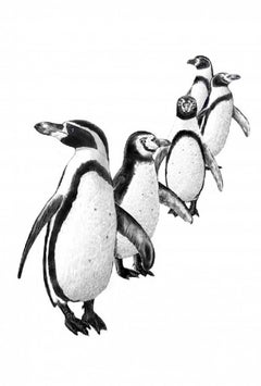 Jane Peart, On the lookout, Stampa animale in edizione limitata