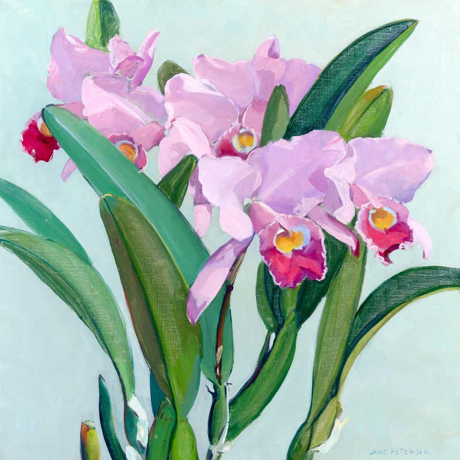 "Cattleya Orchids" Jane Peterson, Modernist Bright Flowers, Female Impressionist