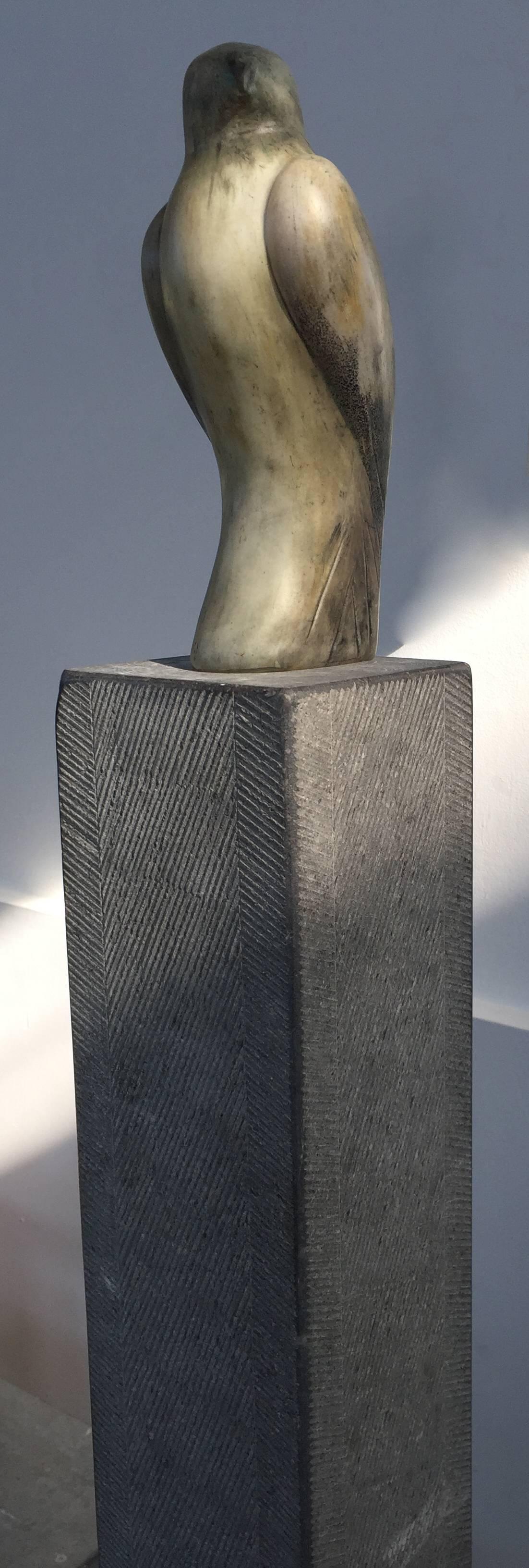 Egyptian Gyrfalcon - Sculpture by Jane Rosen