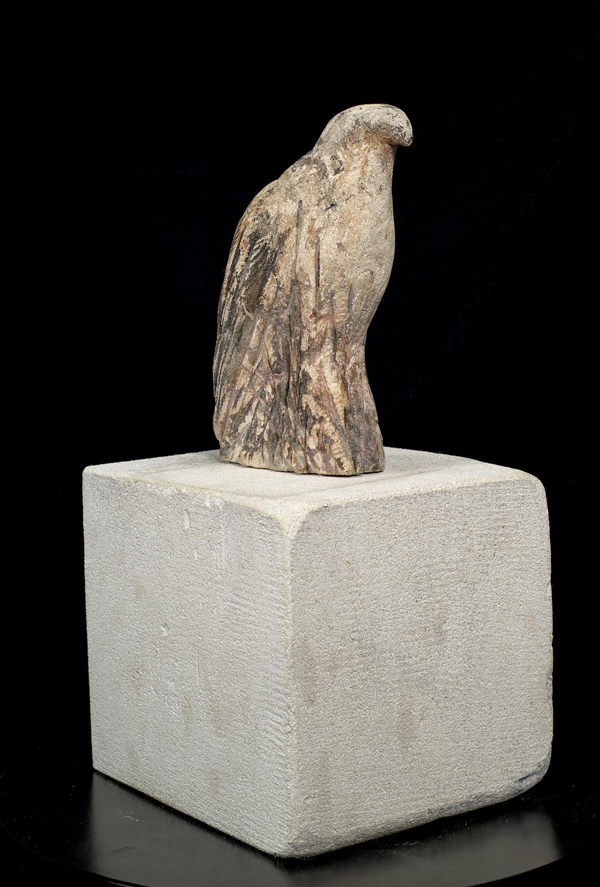 Jane Rosen Figurative Sculpture - Pescadero Bird