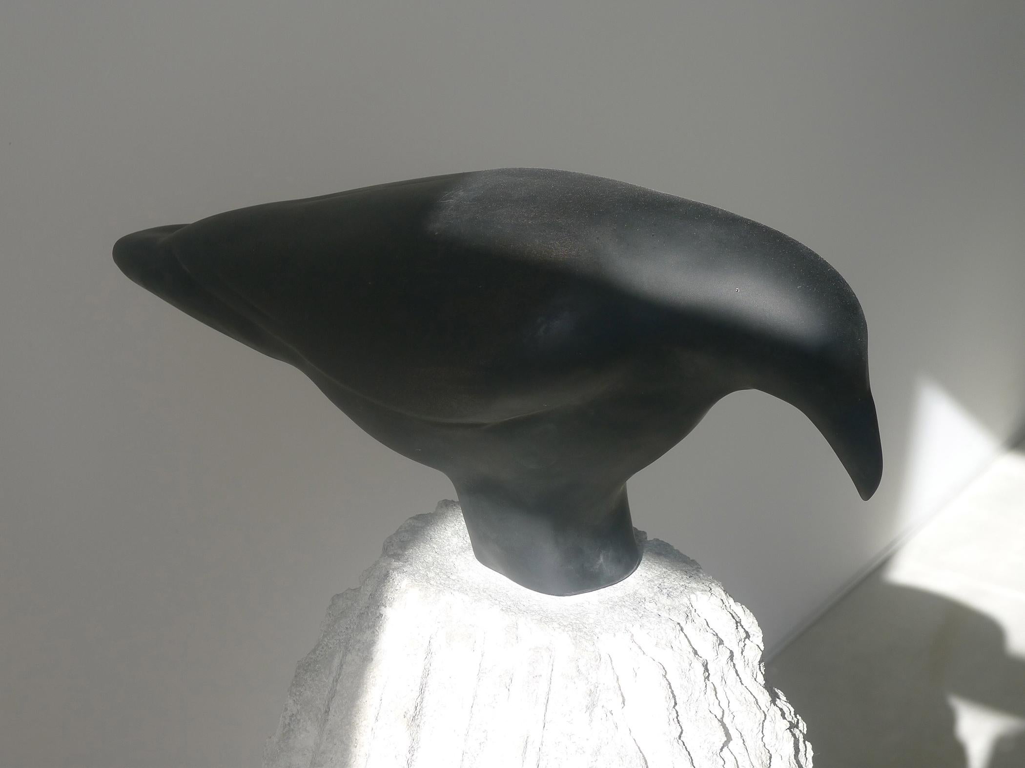 Jane Rosen Still-Life Sculpture - Raven on New Stone