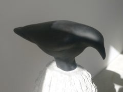 Raven on New Stone